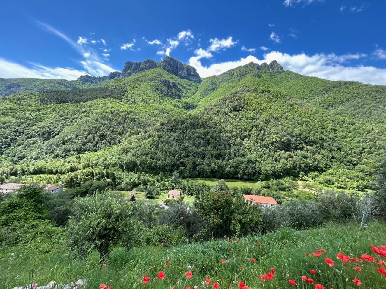 Ferienwohnung Castelletto With Mountain View Colletta Exterior foto
